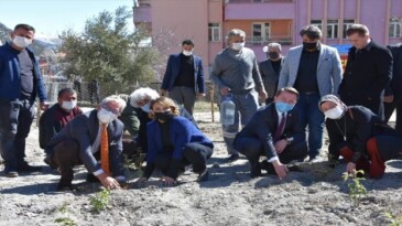 Akseki’de gül ve gül yağı üretimi projesi hayata geçirildi