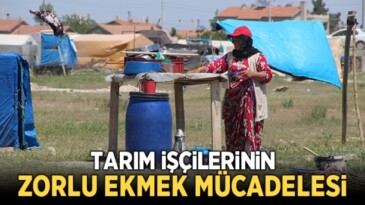 Mevsimlik tarım işçilerinin ramazanda zorlu ekmek mücadelesi