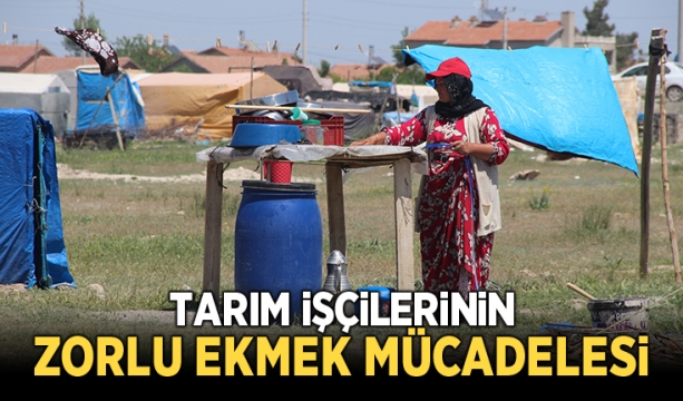 Mevsimlik tarım işçilerinin ramazanda zorlu ekmek mücadelesi