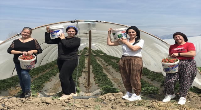 Antalya’da kooperatif kuran girişimci kadınların yetiştirdiği doğal ürünler ilgi görüyor