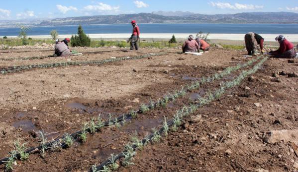 BURDUR GÖLÜ’NÜ ‘SUSUZ TARIM’ KURTARACAK