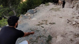 1 haftadır kayıp olan keçiler drone ile bulundu