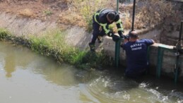 Hatay’da sulama kanalında erkek cesedi bulundu