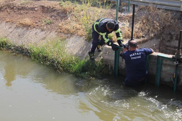 Hatay’da sulama kanalında erkek cesedi bulundu