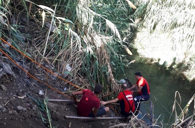 Sulama kanalına düşen atı itfaiye kurtardı