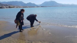 Turistin sahile vuran deniz analarını kurtarma çabası