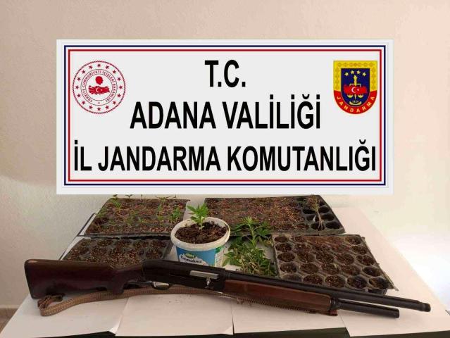 Adana’da kenevir eken 3 kişi yakalandı