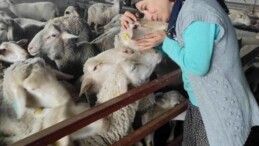 Hayvanlarına yem getiremediği için açlık grevine girmişti: Yolu açılan besici kadın sevincini koyunlarıyla paylaştı