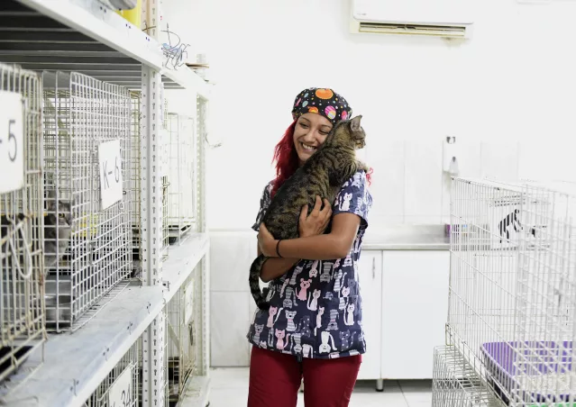 Antalya’da kedilere sıcak hava tehlikesine karşı klimalı oda