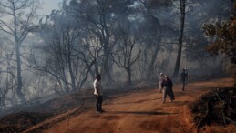 Kumluca ilçesinde kontrol altına alınan yangında bazı evler ve seralarda zarar oluştu