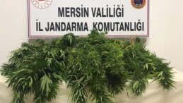 Mersin’de uyuşturucu operasyonunda yakalanan 3 zanlıdan biri tutuklandı