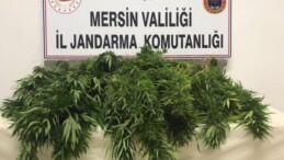 Mersin’de uyuşturucu operasyonunda yakalanan 3 zanlıdan 1’i tutuklandı