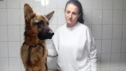 Antalya’da çalınan köpek, çipi sayesinde sahibine teslim edildi