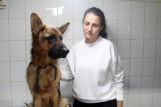 Antalya’da çalınan köpek, çipi sayesinde sahibine teslim edildi