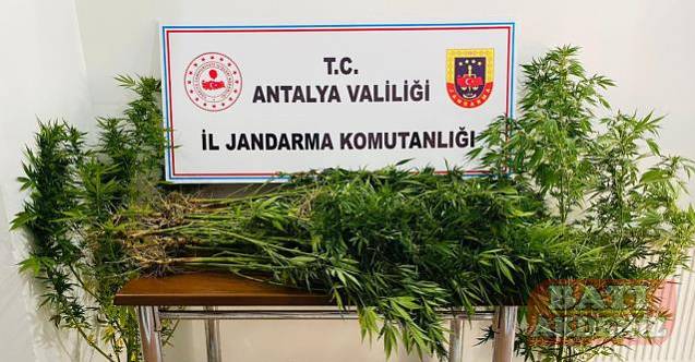 Antalya’da uyuşturucu operasyonunda 2 şüpheli yakalandı