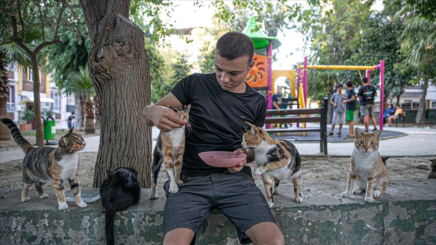 Genç hayvansever yaşadığı mahalledeki kedilere “Umut” oldu