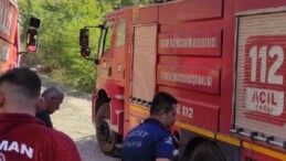 Hatay’da orman yangını