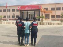 Alanya’da Bahçeden Avokado Çalan Şüpheli Tutuklandı