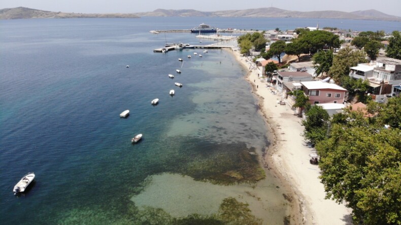 Erdek’te Skandal: Plaj Temizliği Adı Altında Deniz Çayırları Söküldü