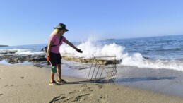 Alanya’da Gönüllüler, Çöplere Takılan Caretta Caretta Yavrularını Kurtardı