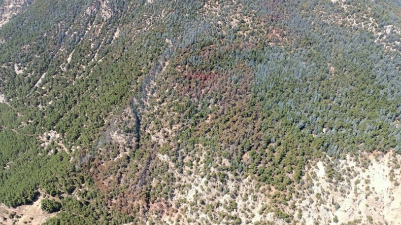 Antalya Kumluca’daki Orman Yangını Kontrol Altına Alındı