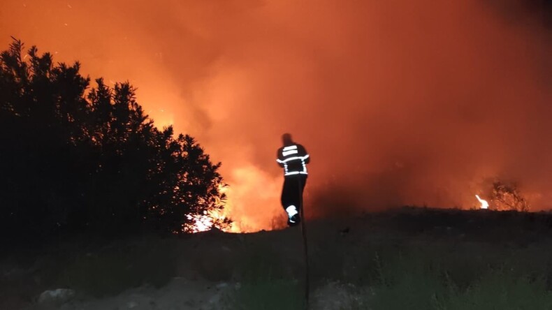 Antakya'da orman yangını paniği !