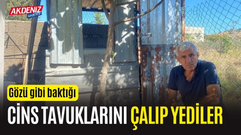 OSMANİYE’DE 10 SENEDİR BESLEDİĞİ CİNS TAVUKLARI ACIMASIZCA KESTİLER! – Akdeniz Haber, Akdeniz Haberleri, Akdeniz Gündem