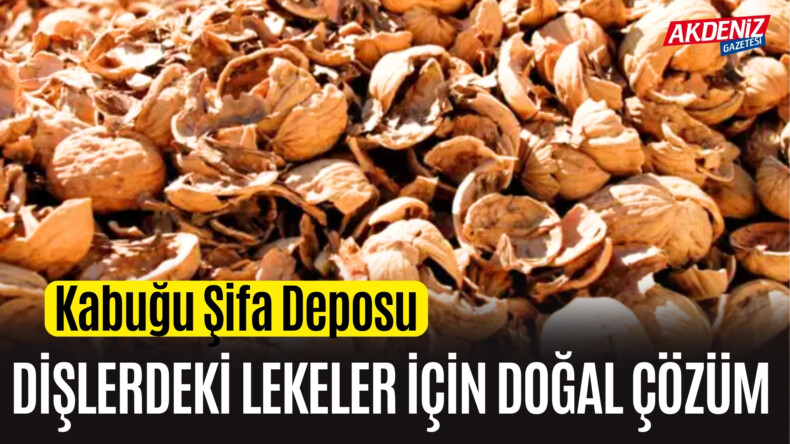 Kabuğu Şifa Deposu Dişlerdeki Lekeler için Doğal Çözüm – Akdeniz Haber, Akdeniz Haberleri, Akdeniz Gündem