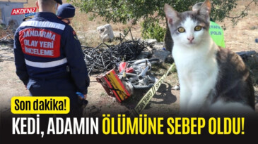 Kedi, adamın ölümüne sebep oldu!