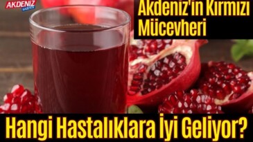 Akdeniz’in Kırmızı Mücevheri Hangi Hastalıklara İyi Geliyor? – Akdeniz Haber, Akdeniz Haberleri, Akdeniz Gündem