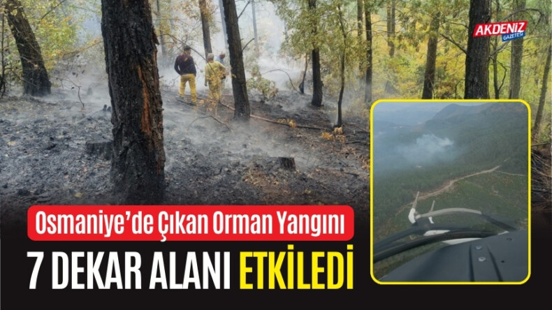 OSMANİYE’DE ÇIKAN ORMAN YANGINI 7 DEKAR ALANI ETKİLEDİ – Akdeniz Haber, Akdeniz Haberleri, Akdeniz Gündem