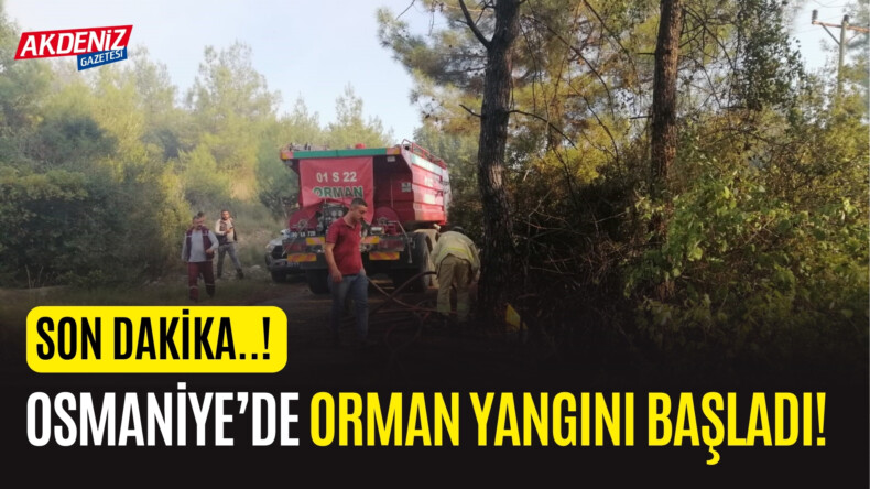 SON DAKİKA! OSMANİYE'DE ORMAN YANGINI BAŞLADI!