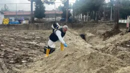 Öğretmenevi Bahçesinde İnsan Kemikleri Bulundu