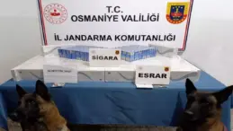 Osmaniye’de Jandarma Operasyonu: 107 Gözaltı