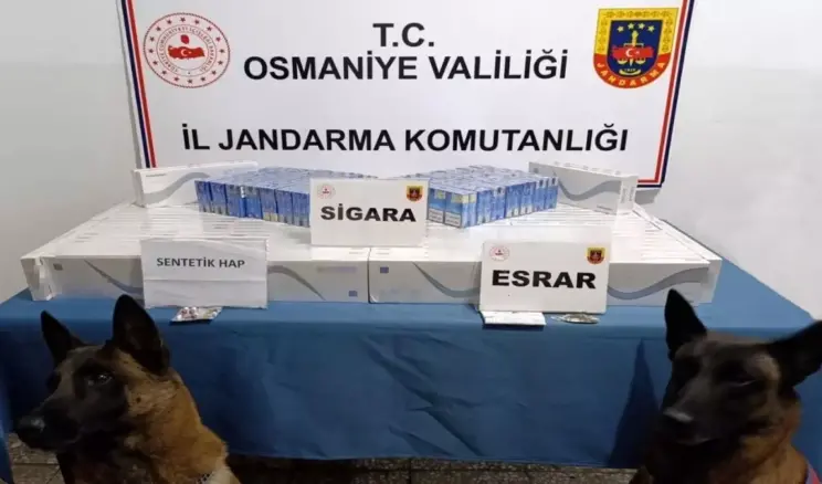 Osmaniye’de Jandarma Operasyonu: 107 Gözaltı