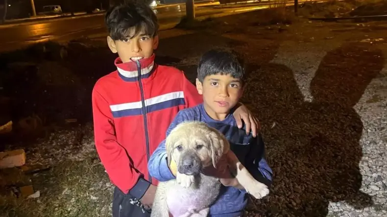 Mersin’de Yavru Köpek Kuyuya Düştü, İtfaiye Tarafından Kurtarıldı