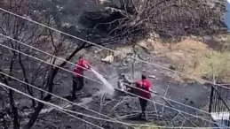Mersin’de Kayısı Bahçesinde Yangın Kontrol Altına Alındı