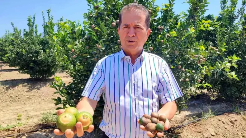 Adana’da Sıcaklık Rekoru ve Narenciye Yangınları