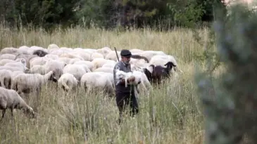 Burdur’da Çobanlık Geleneği Sürüyor