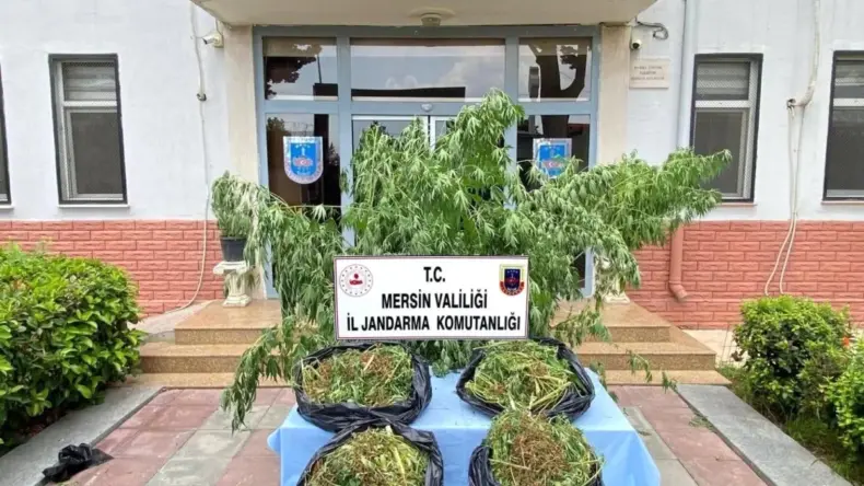 Mersin’de Uyuşturucu Operasyonu: 10 Şüpheli Yakalandı