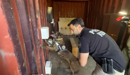 Antalya’da Narkotik Köpek Eğitimi