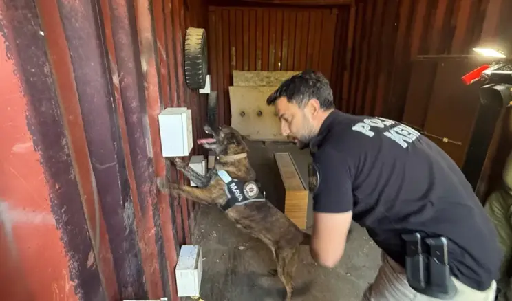Antalya’da Narkotik Köpek Eğitimi