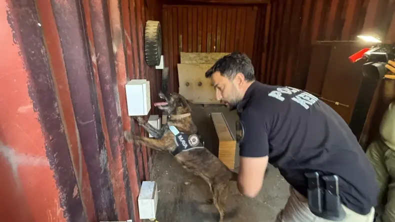 Antalya’da Narkotik Köpek Eğitimi