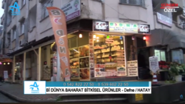 Bİ DÜNYA BAHARAT BİTKİSEL ÜRÜNLER – DEFNE / HATAY