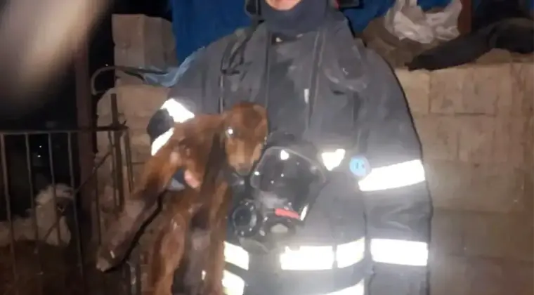 100 Bin TL’lik Hırsızlık