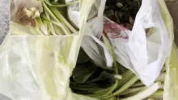 Pazardan aldı, zehir çıktı! Ağzına bir lokma alan doktor fenalaştı