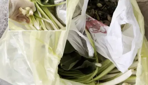 Pazardan aldı, zehir çıktı! Ağzına bir lokma alan doktor fenalaştı