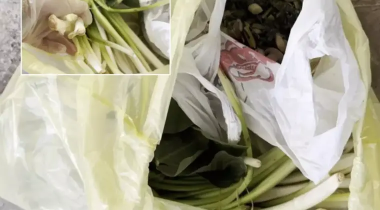 Pazardan aldı, zehir çıktı! Ağzına bir lokma alan doktor fenalaştı