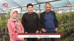 Alata Fidan Tarım: Yıllık Deneyim ve Tropikal Fidan Üretimi | Canlı Röportaj