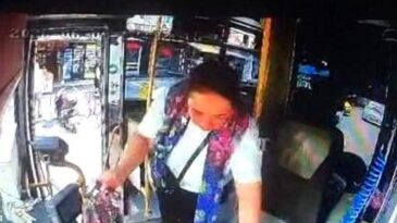 Adana’da Otobüs Hırsızı Kadın Kameralara Yansıdı